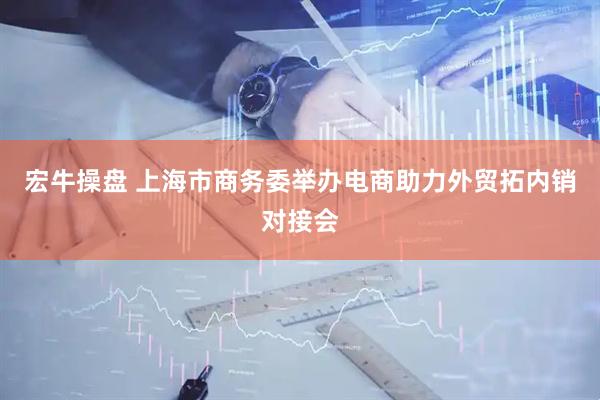 宏牛操盘 上海市商务委举办电商助力外贸拓内销对接会