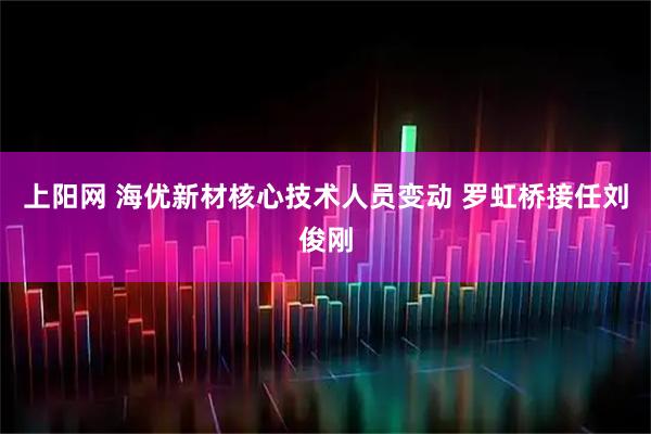 上阳网 海优新材核心技术人员变动 罗虹桥接任刘俊刚