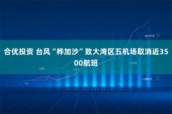 合优投资 台风“桦加沙”致大湾区五机场取消近3500航班