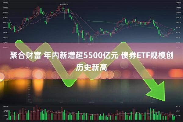 聚合财富 年内新增超5500亿元 债券ETF规模创历史新高