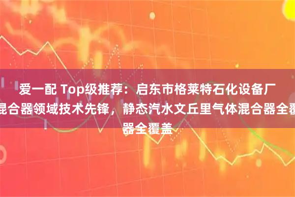 爱一配 Top级推荐：启东市格莱特石化设备厂，混合器领域技术先锋，静态汽水文丘里气体混合器全覆盖