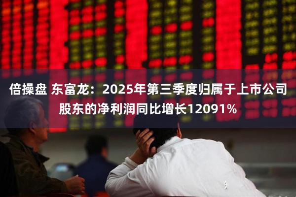 倍操盘 东富龙：2025年第三季度归属于上市公司股东的净利润同比增长12091%