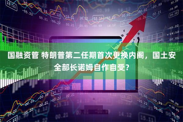 国融资管 特朗普第二任期首次更换内阁，国土安全部长诺姆自作自受？